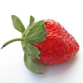Erdbeeren züchten im Topf oder Freiland