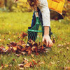 Herbstliche Rasenpflege: So übersteht Ihr Rasen den Winter