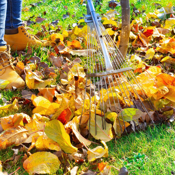 Image une astuce pour le jardin