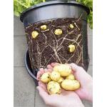 Pot de culture de pommes de terre - 12 litres