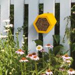 Hôtel pour abeilles Honeycomb Modular