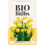 Narcisse Tête-à-tête - bio flowerbulbs (5 pièces)