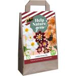 Mélange Dahlia Honey - Help nature grow