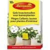 Pièges adhésifs jaunes Aeroxon pour plantes d'intérieur