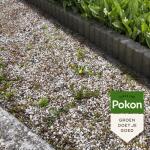 Pokon Concentré contre les mauvaises herbes - 225 ml