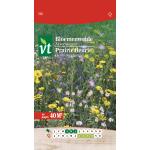 Prairie fleurie fleurs des champs - 40 m²