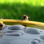 Bol à boire abeille et papillon avec pierres - rond