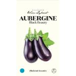 Aubergine Black Beauty - graines Wim Lybaert