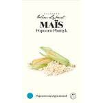 Maïs pop-corn Plomyk - graines Wim Lybaert