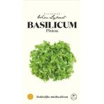 Basilic Pistou - graines Wim Lybaert