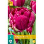 Tulipa Royal Acres (7 pièces)