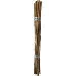 Tuteurs en bambou - 60 cm