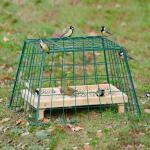 Cage de protection pour les petits oiseaux du jardin