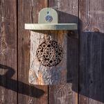 Bûche évidée pour abeilles solitaires - National Trust