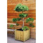 Jardinière Ficus en bois - 138 L