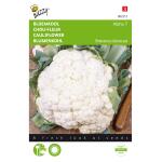 Blumenkohl Alpha 7 - Brassica oleracea