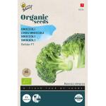 Brocoli Belstar F1 Bio