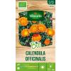 Calendula Bio - Souci