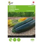 Courgette - Diamant F1, d’origine Peto-US - Cucurbita pepo