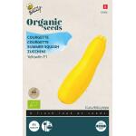 Buzzy Seeds courgette Yellowfin F1 jaune BIO