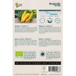 Buzzy Seeds courgette Yellowfin F1 jaune BIO