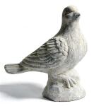 Pigeon en béton gris