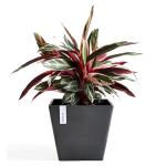 ECOPOTS Rotterdam - anthracite 50 cm