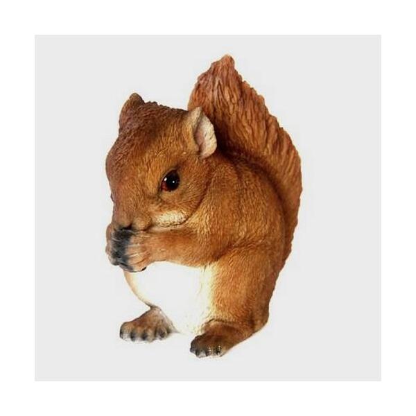 SOUPES – un écureuil dans ma cuisine
