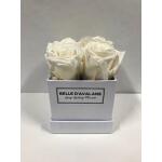 Blumenbox Vierkant Weiß 10 x 10 cm - Elfenbein