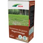 Semences de gazon DCM pour regarnissage 50 m² - 750 g