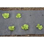 Bodenvlies mit Öffnungen für Salat und Bohnen - 60 cm x 5 m