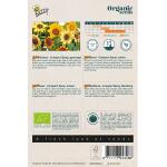 Helianthus, Tournesol Compact Spay Bio