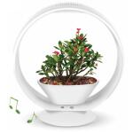 Mini jardin rond 'Jardin secret' avec éclairage et Bluetooth