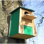 Wildlife World nichoir effraie des clochers en bois de cèdre - kit d'assemblage