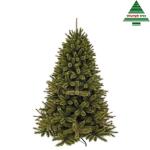 Sapin de Noël Forest Frosted de 215 cm - Triumph Tree