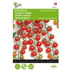 Kirschtomate Supersweet 100 F1 - Solanum lycopersicum L.