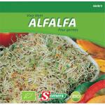 Alfalfa pour germes/ luzerne - Bio