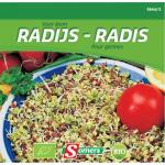 Germes radis - Bio