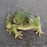 Frosch Kiki grün oder braun