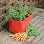 Sac de culture pour carottes 45 x 30 x 30 cm (2 pièces)
