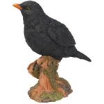 Amsel auf Stamm