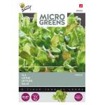 Buzzy Seeds microgreens Laitue Mixture