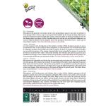 Buzzy Seeds microgreens Laitue Mixture