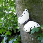 Schmetterling weiß Wanddekoration