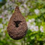 Nichoir pour mésange bleue - XL Wicker