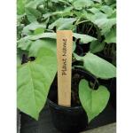 Etiquettes en bois pour plantes - 15 cm