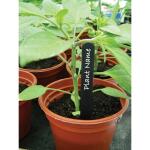 Etiquettes noires en plastique pour plantes - 20 cm