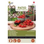 Tomate en pot Gourmandise Red