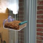 Petite mangeoire de fenêtre pour petits oiseaux