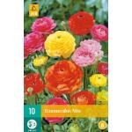 Ranunculus mix